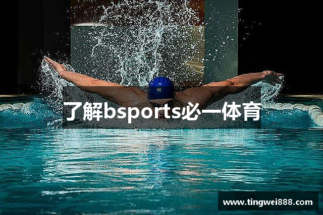 了解bsports必一体育